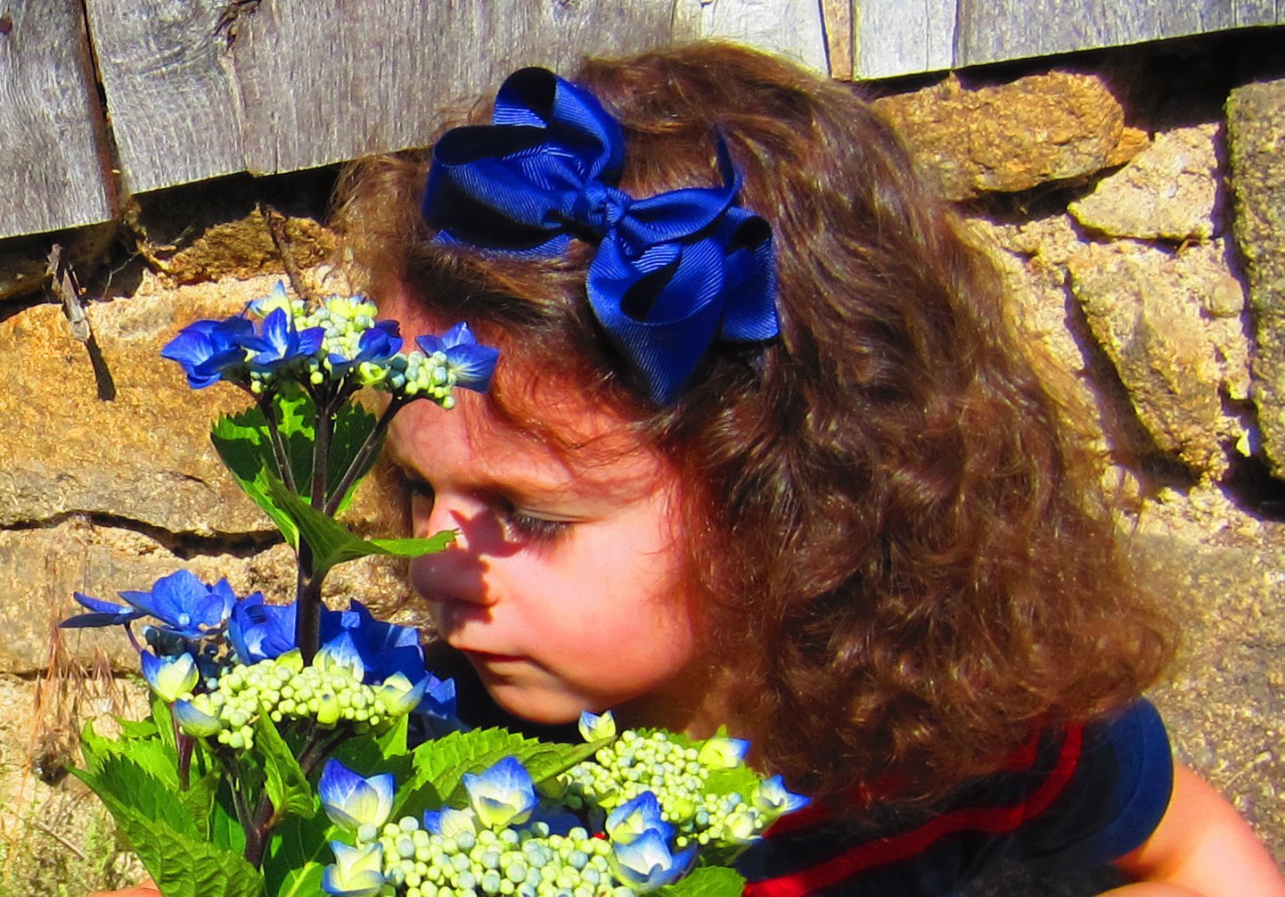 serre-tête cérémonie, mariage, cortège, gros grain, bleu marine, ma petite anglaise, ribbies, élégant, cortège, fille,